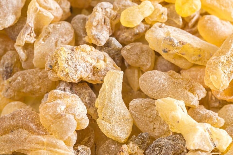 Boswellia serrata